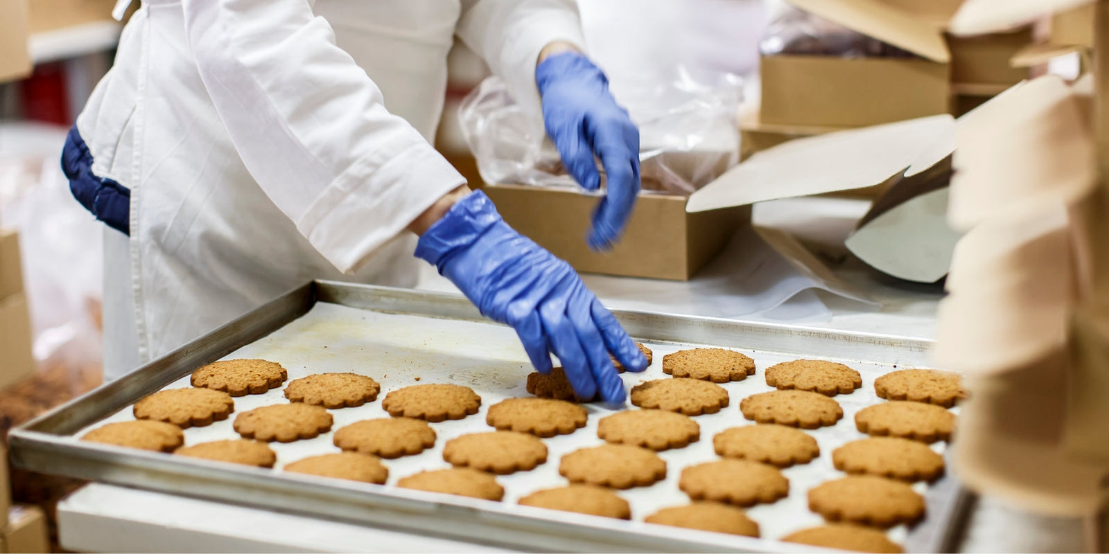 Plastic Pallet Boxes for Food Manufacturers | Heavy-Duty & Hygienic Storage